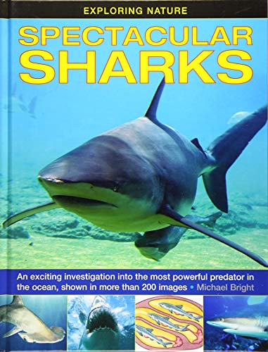 Exploring Nature Spectacular Sharks An Exciting Investigation Into The Most Po [Hardcover]