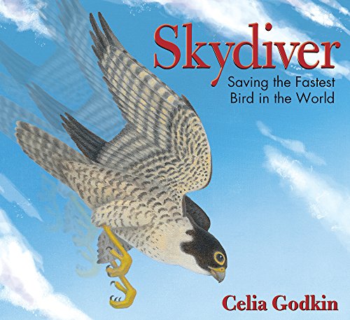 Skydiver Saving the Fastest Bird in the World [Hardcover]