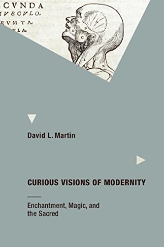 Curious Visions of Modernity Enchantment, Magic, and the Sacred [Paperback]