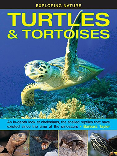 Exploring Nature Turtles &amp Tortoises An In-Depth Look At Chelonians, The S [Hardcover]