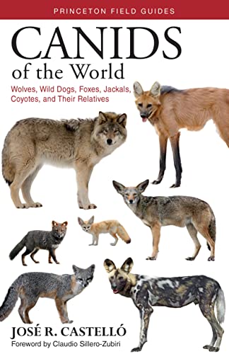 Canids of the World Wolves, Wild Dogs, Foxes, Jackals, Coyotes, and Their Relat [Paperback]