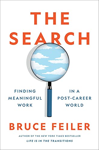 The Search Finding Meaningful Work in a Post-Career World [Hardcover]