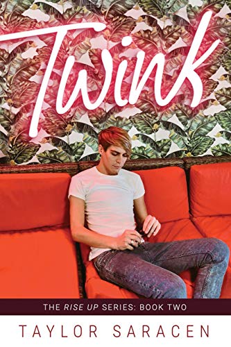 Twink [Paperback]