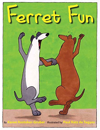 Ferret Fun [Hardcover]