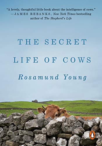 The Secret Life of Cows [Paperback]