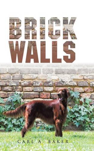 Brick Walls [Hardcover]