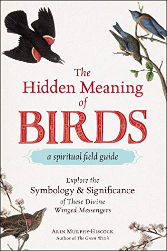 The Hidden Meaning of Birds--A Spiritual Field Guide Explore the Symbology and  [Paperback]
