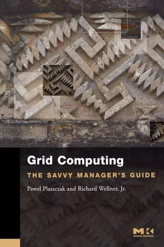 Grid Computing The Savvy Manager's Guide [Paperback]