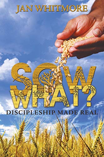 Sow What Discipleship Made Real [Paperback]