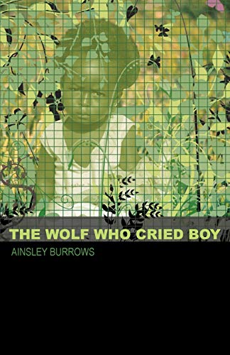 The Wolf Who Cried Boy [Paperback]