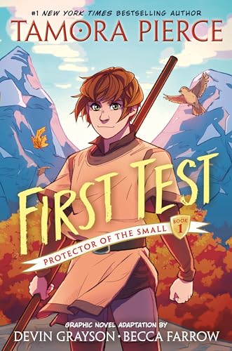 First Test Graphic Novel (A Graphic Novel) [Paperback]