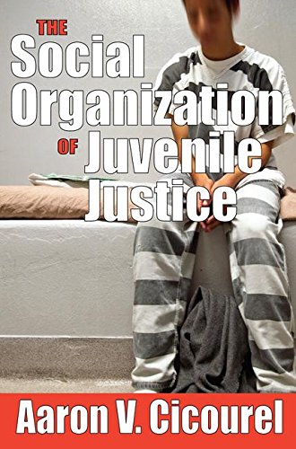 The Social Organization of Juvenile Justice [Paperback]