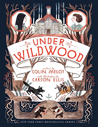 Under Wildwood [Paperback]