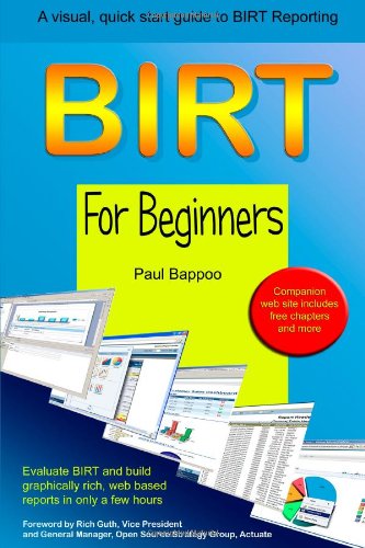 Birt For Beginners [Paperback]