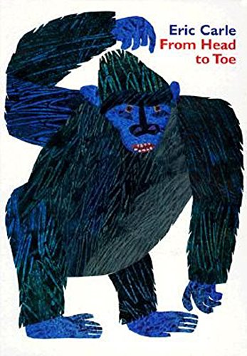 From Head To Toe Board Book [Board book]