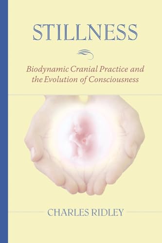 Stillness Biodynamic Cranial Practice and the Evolution of Consciousness [Paperback]