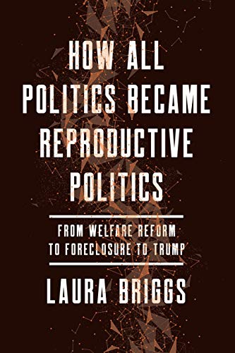 How All Politics Became Reproductive Politics From Welfare Reform to Foreclosur [Paperback]