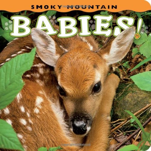 Smoky Mountain Babies (babies (farcountry Press)) [Board book]