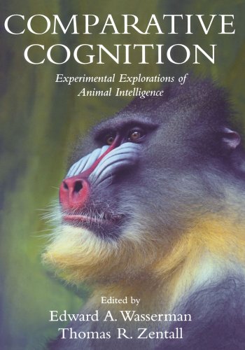 Comparative Cognition Experimental Explorations of Animal Intelligence [Paperback]