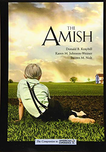 THE AMISH [Paperback]