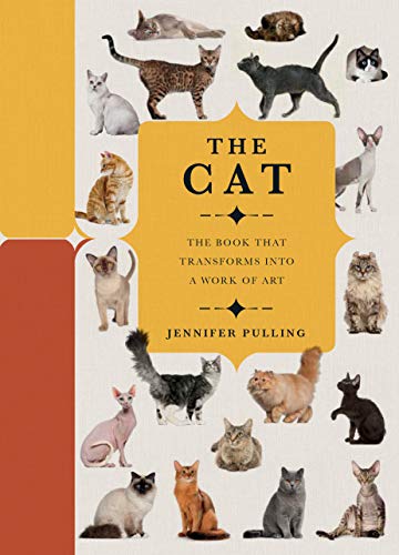Paperscapes The Cat A Book That Transforms Into a Work of Art [Hardcover]