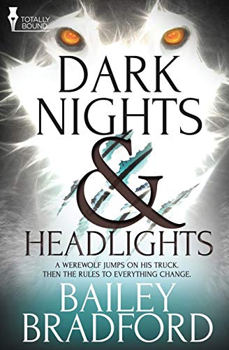 Dark Nights And Headlights [Paperback]