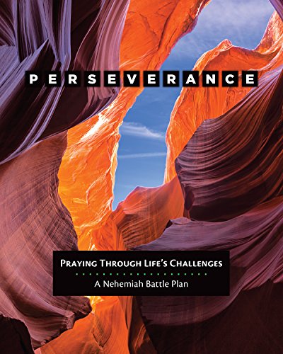 Perseverance  Praying Through Life's Challenges [Paperback]