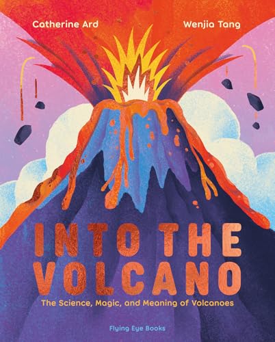Into the Volcano The Science, Magic and Meaning of Volcanoes [Hardcover]