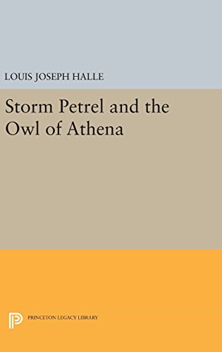 Storm Petrel and the Owl of Athena [Hardcover]