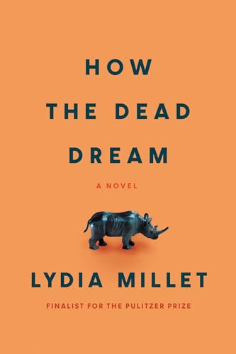How the Dead Dream A Novel [Paperback]