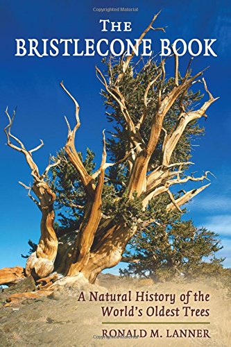 The Bristlecone Book A Natural History Of The World's Oldest Trees [Paperback]