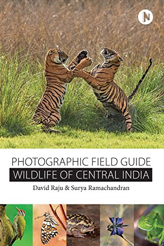 Wildlife of Central India  Photographic Field Guide [Paperback]