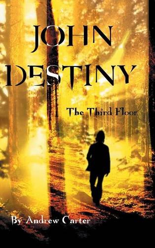 John Destiny The Third Floor [Hardcover]