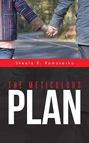 Meticulous Plan [Paperback]
