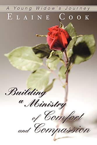 Building A Ministry Of Comfort And Compassion A Young Widow's Journey [Paperback]