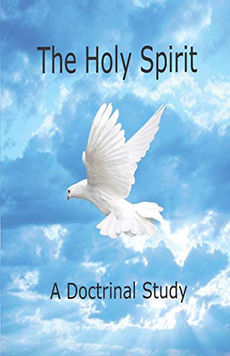 Holy Spirit Study Guide [Paperback]