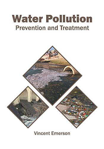 Water Pollution Prevention and Treatment [Hardcover]