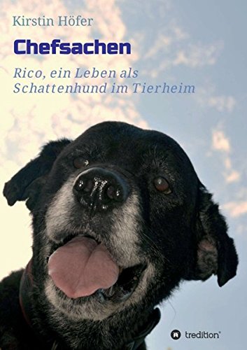 Chefsachen (german Edition) [Paperback]