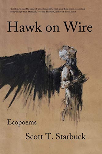 Hawk On Wire Ecopoems [Paperback]