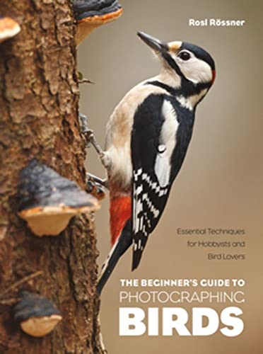 The Beginner's Guide to Photographing Birds Essential Techniques for Hobbyists  [Paperback]