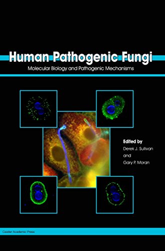 Human Pathogenic Fungi Molecular Biology And Pathogenic Mechanisms [Hardcover]