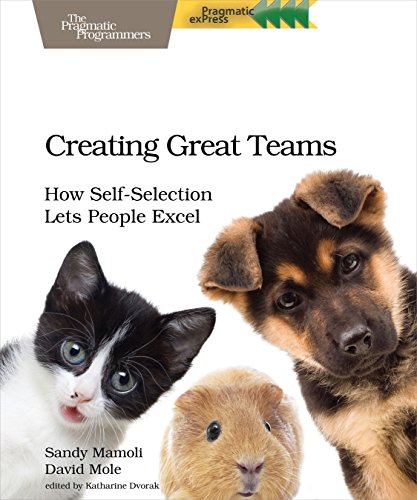 Creating Great Teams How Self-Selection Lets People Excel [Paperback]