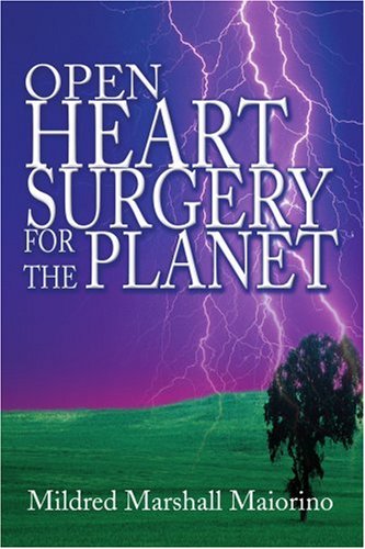 Open Heart Surgery for the Planet [Paperback]