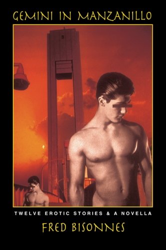 Gemini in Manzanillo [Paperback]