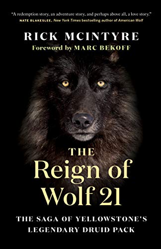 The Reign of Wolf 21 The Saga of Yellowstone's Legendary Druid Pack [Hardcover]