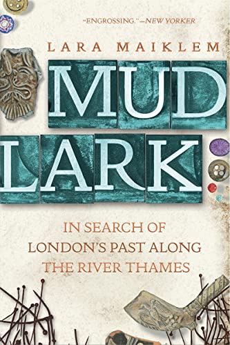 Mudlark In Search of London's Past Along the River Thames [Paperback]