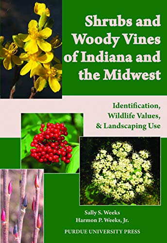 Shrubs And Woody Vines Of Indiana And The Midwest Identification, Wildlife Valu [Paperback]