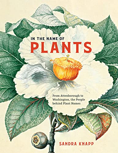 In the Name of Plants From Attenborough to Washington, the People behind Plant  [Hardcover]