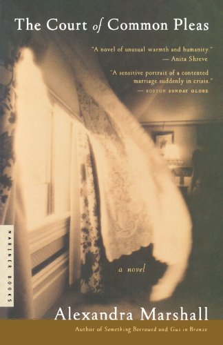 The Court of Common Pleas A Novel [Paperback]