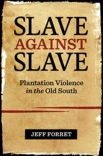 Slave Against Slave Plantation Violence In The Old South [Hardcover]